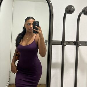 Aritzia Babaton Dress